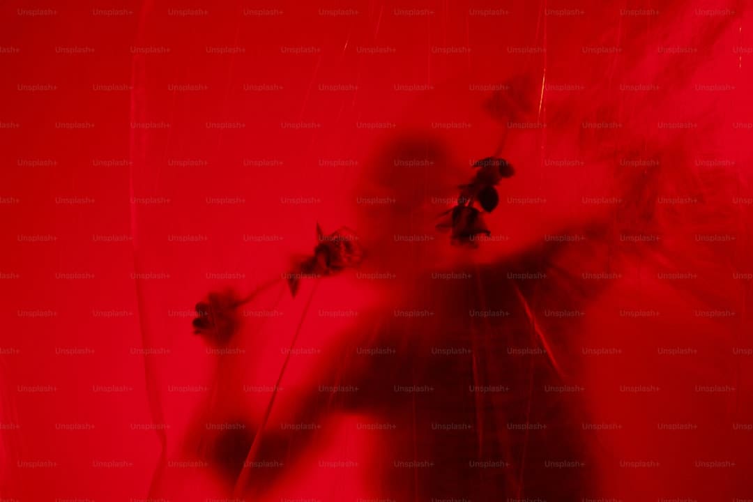 定心！多地发力保供 节日“菜篮子”货足价稳